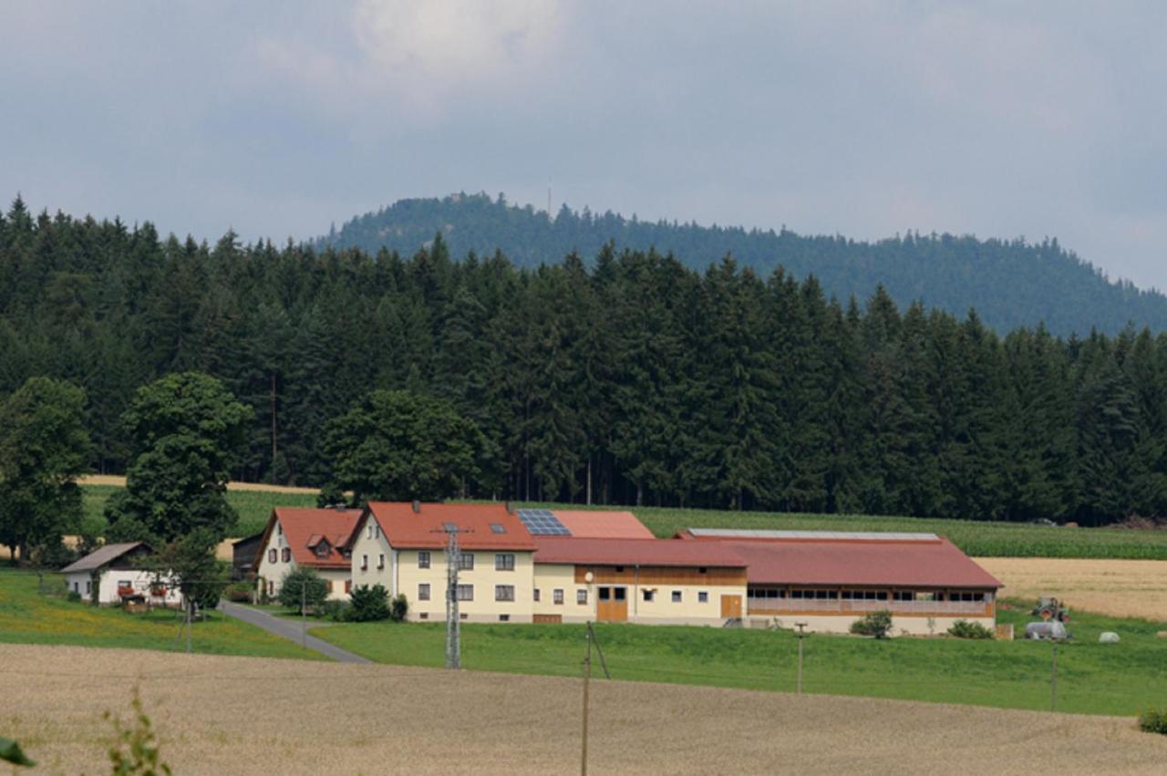 Burgerhof Appartement Pullenreuth